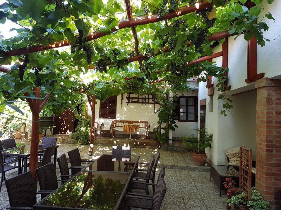 빌라니 Polgar Panzio B&B 외부 사진